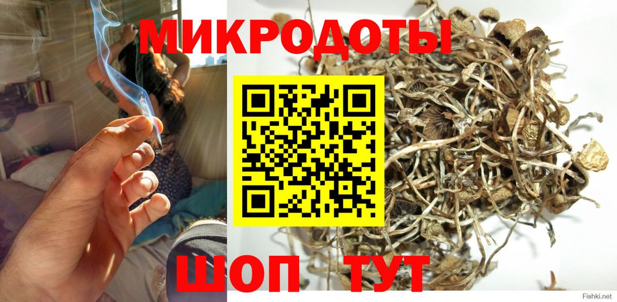 Галлюциногенные грибы мицелий Горно-Алтайск